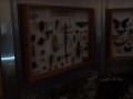 Tn 0899 DSC00073